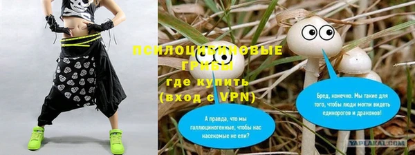 прущие крисы Алексин